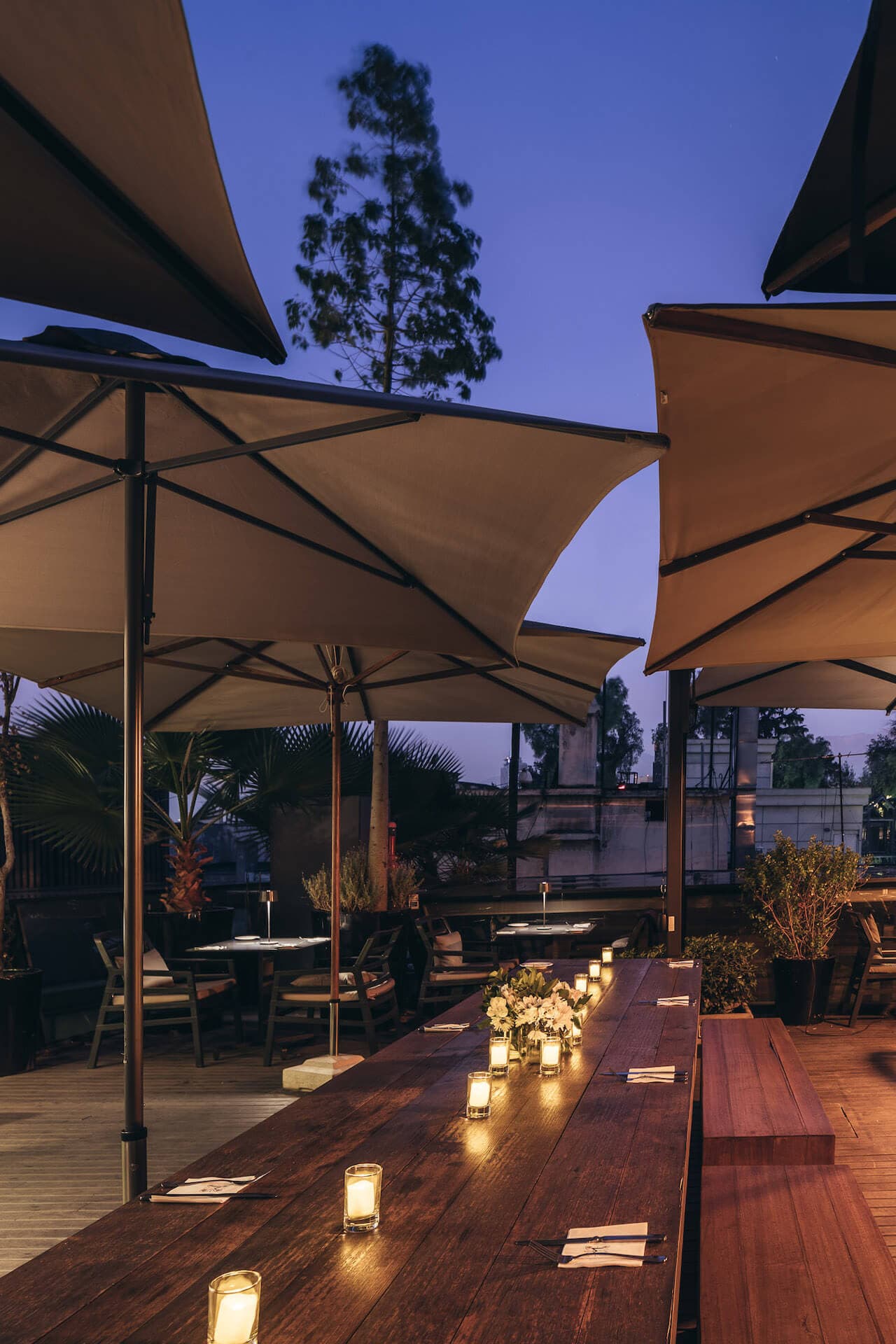 Hotel Magnolia